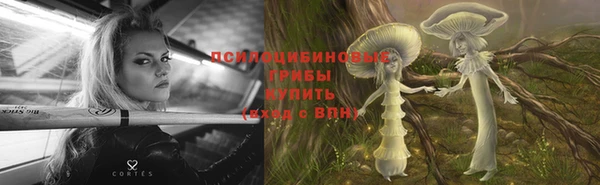 метадон Аркадак