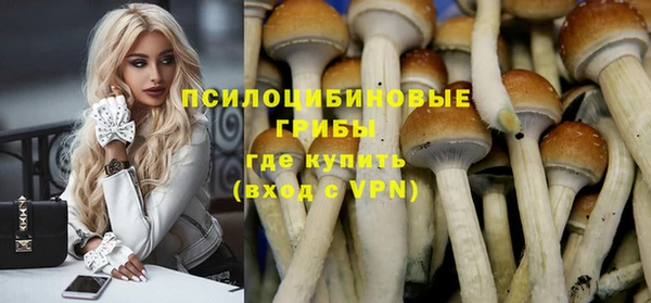 PSILOCYBIN Арсеньев