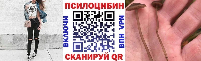 наркотики  Фатеж  Галлюциногенные грибы Magic Shrooms 